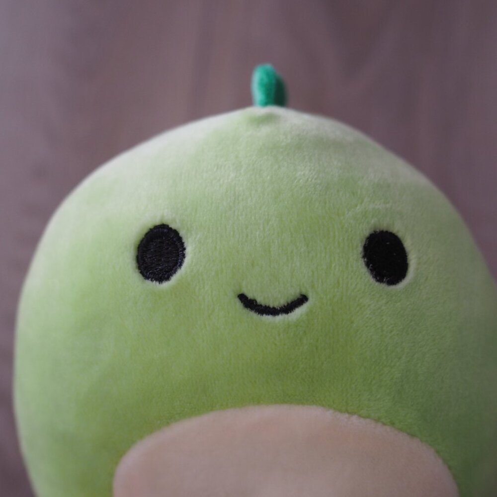Squishmallow Danny The Green Dinosaur Small Plush Animal - Picture 3 of 9